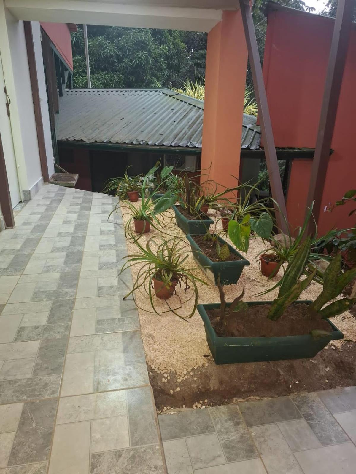 San Rafael Ecolodge La Tigra  Buitenkant foto