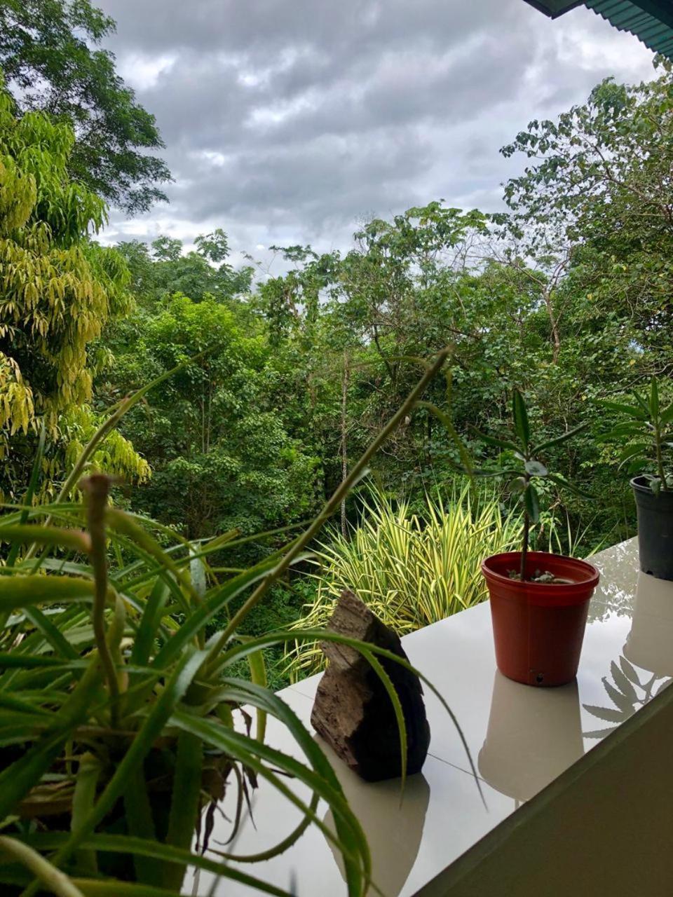 San Rafael Ecolodge La Tigra  Buitenkant foto